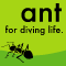 ant for diving life.